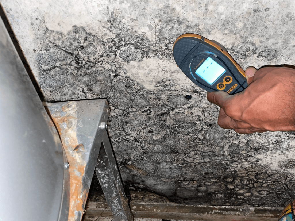 
NW Atlanta, Georgia Mold Inspection and Testing Services